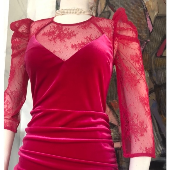 Hot Pink Beauty - Picture 6 of 9